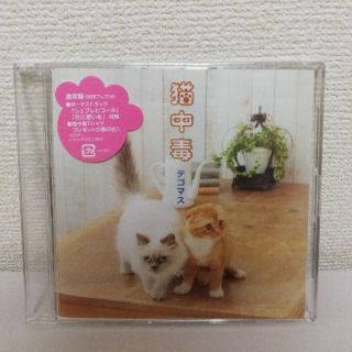 テゴマス(テゴマス)の猫中毒【通常盤】/テゴマス(ポップス/ロック(邦楽))