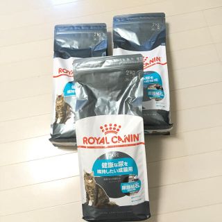 ロイヤルカナン(ROYAL CANIN)の新品未使用 ロイヤルカナン 猫 ユリナリーケア 2Kg 3個セット(ペットフード)