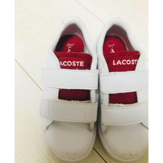 LACOSTE(ラコステ)のLACOSTE  キッズ/ベビー/マタニティのキッズ靴/シューズ(15cm~)(スニーカー)の商品写真