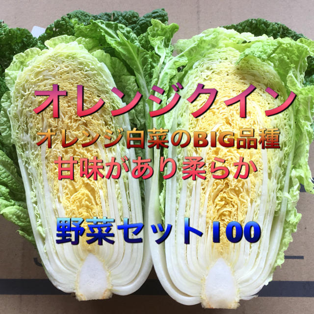 低農薬 野菜セット 100 食品/飲料/酒の食品(野菜)の商品写真