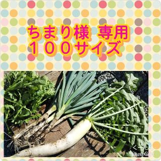 野菜詰め合わせ100サイズ(野菜)