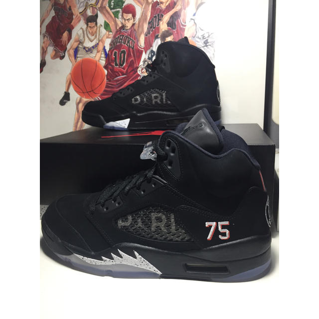 NIKE(ナイキ)のNike Air Jordan 5 PSG メンズの靴/シューズ(スニーカー)の商品写真