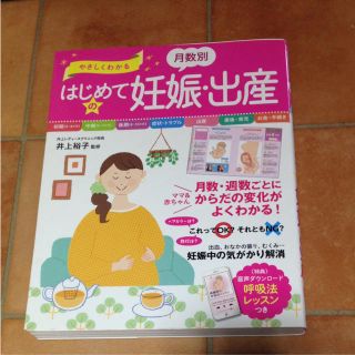 やさしくわかる月数別はじめての妊娠・出産(住まい/暮らし/子育て)