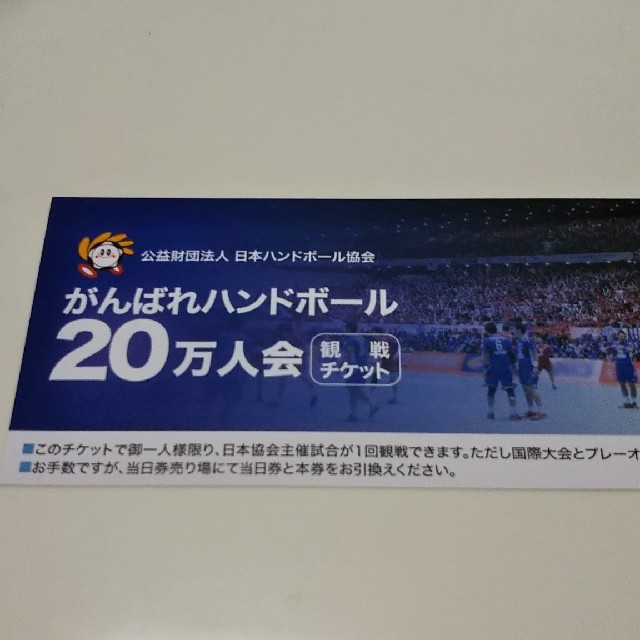 日本ハンドボール協会 観戦チケット2枚 スポーツ/アウトドアのスポーツ/アウトドア その他(その他)の商品写真