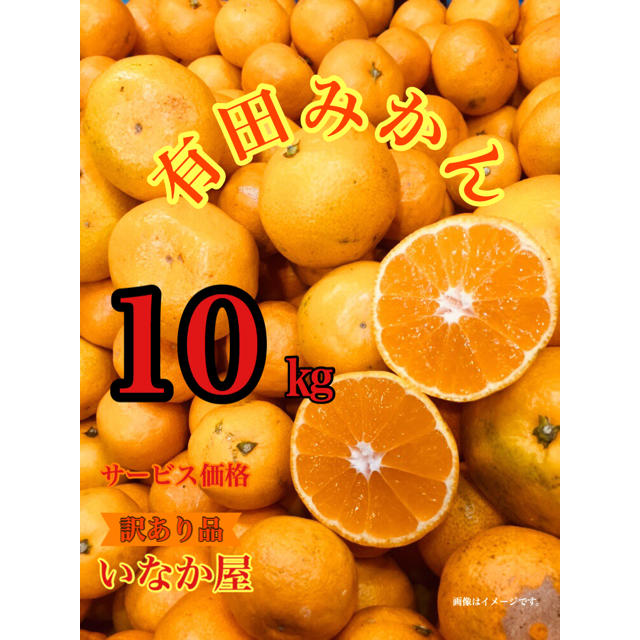 am11時まで サービス価格 有田みかん 訳あり品 食品/飲料/酒の食品(フルーツ)の商品写真