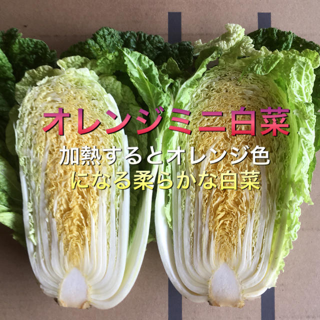 低農薬 野菜セット  80 食品/飲料/酒の食品(野菜)の商品写真