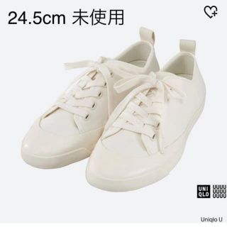 ユニクロ(UNIQLO)のUniqloU キャンバススニーカー 白 24.5cm(スニーカー)