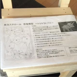 発泡スチロール 恐竜模型(その他)