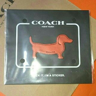 コーチ(COACH)のCOACH レザーステッカー(チャーム)