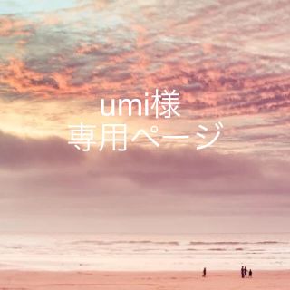 umi様専用  トコトコ バックナンバー*(その他)