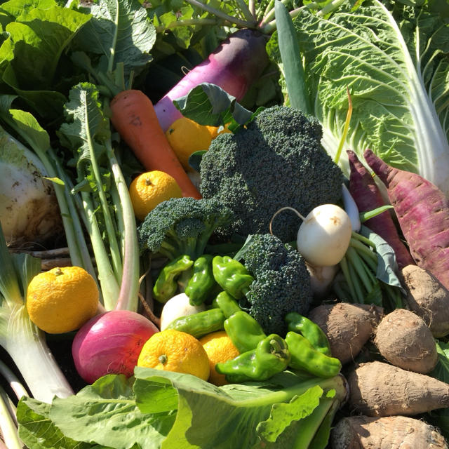 低農薬 野菜セット 60 食品/飲料/酒の食品(野菜)の商品写真