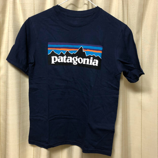 patagonia(パタゴニア)の新品*PatagoniaTシャツ メンズのトップス(Tシャツ/カットソー(半袖/袖なし))の商品写真