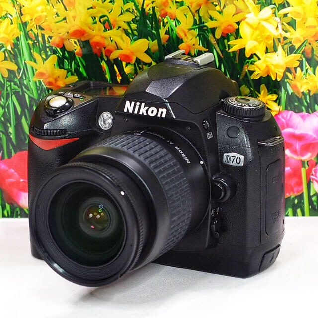 Nikon - ️初心者オススメ & WiFiカード付き ️ニコン D70 レンズキットの通販 by Sunflower☆Camera
