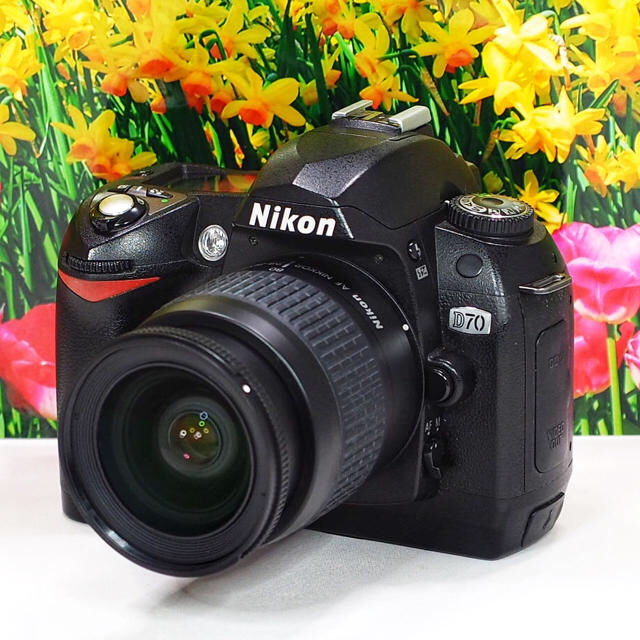 ❤️初心者オススメ❤️Nikon ニコン D200❤️CFカード付き❤️-