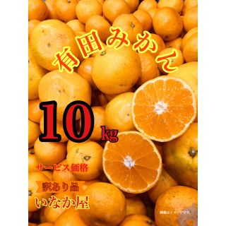 本日１２時まで セール価格 有田みかん 訳あり品(フルーツ)