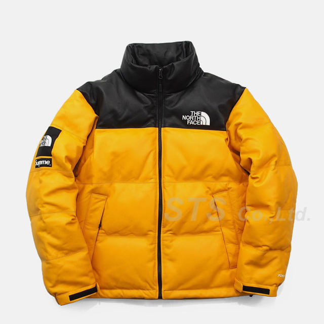 Supreme(シュプリーム)のL Supreme North Leather nuptse jacket メンズのジャケット/アウター(ダウンジャケット)の商品写真