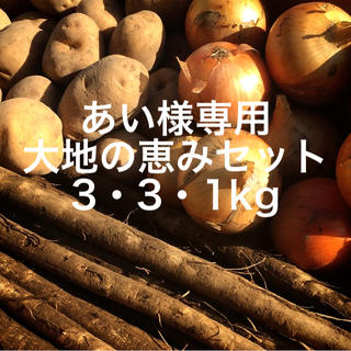 北海道とかちニシボふぁ〜む 詰め合わせセット『大地の恵み』3・3・1kg(野菜)