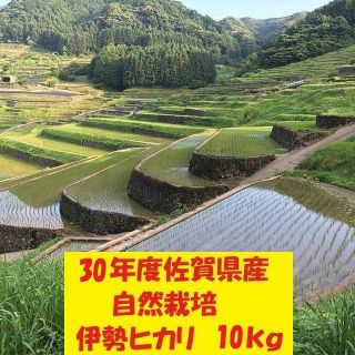 農家直送!無農薬!自然栽培!30年度佐賀県産!「伊勢ヒカリ」玄米１０ｋｇ(米/穀物)