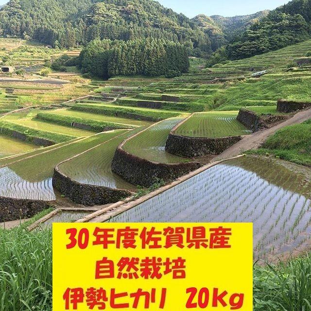 農家直送!無農薬!自然栽培!30年度佐賀県産!「伊勢ヒカリ」玄米20kgの通販 by 鶴ノ原北川農園｜ラクマ