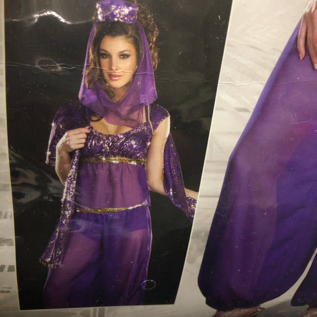 ハロウィンコスプレアラビアンナイト紫 エンタメ/ホビーのコスプレ(衣装一式)の商品写真