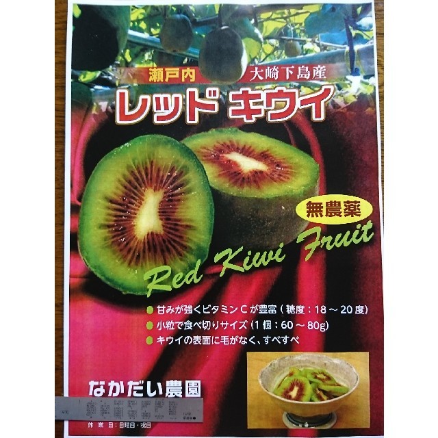 キウイフルーツ【レッドキウイ】約1キロ 食品/飲料/酒の食品(フルーツ)の商品写真