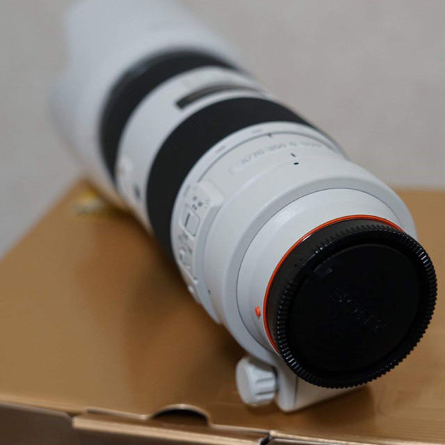 素敵な - SONY Sal SSMii f2.8 70-200 レンズ(単焦点) 素敵な - SONY Sal SSMii f2.8 70-200 レンズ(単焦点)
