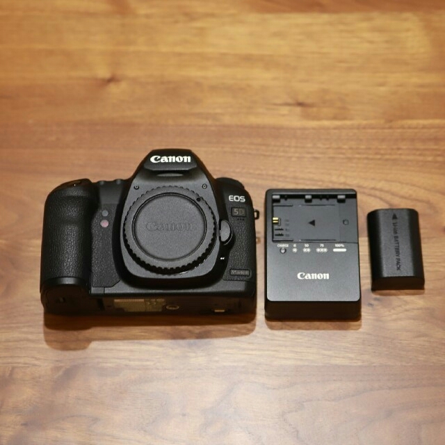 世界的に Canon - EOS 5D mark2 ボディ 美品 シャッター回数1万回以下 ...