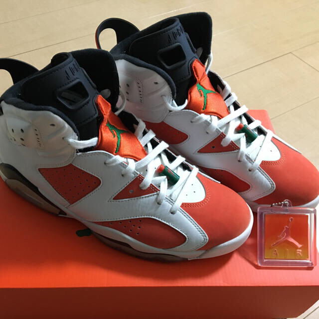 NIKE(ナイキ)のJordan6 ジョーダン6 ゲータレード gaterade  メンズの靴/シューズ(スニーカー)の商品写真