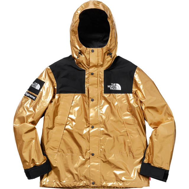 supreme×THE NORTH FACE Mountain Parka S