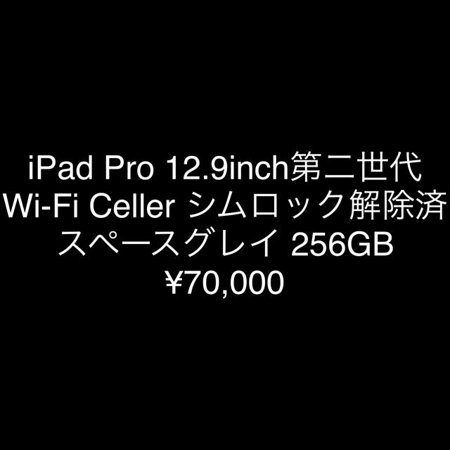 iPad Pro 12.9 2世代スマホ/家電/カメラ