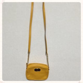 マイケルコース(Michael Kors)のMichael kors bag(クラッチバッグ)