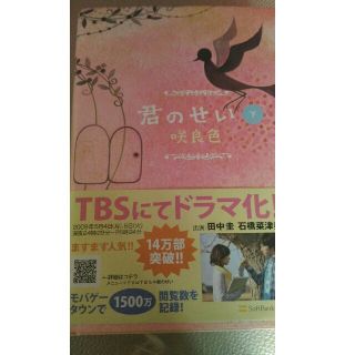 ソフトバンク(Softbank)の君のせい下(文学/小説)