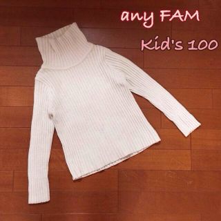 エニィファム(anyFAM)のany FAM キッズタートル(その他)