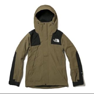 ザノースフェイス(THE NORTH FACE)のthe north  face ビーチグリーン(マウンテンパーカー)