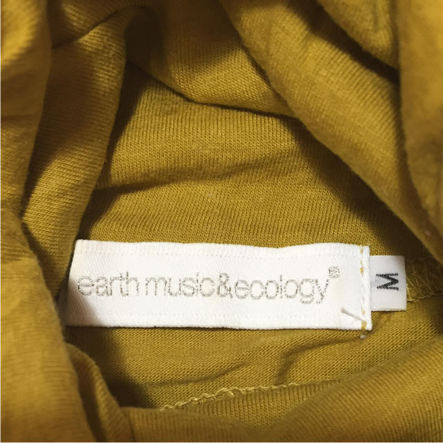 earth music & ecology(アースミュージックアンドエコロジー)のアースミュージックアンドエコロジー  タートルネック 長袖 カットソー レディースのトップス(カットソー(長袖/七分))の商品写真