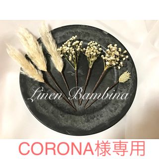 CORONA様専用(ドライフラワー)