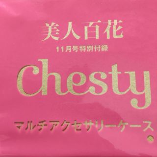 チェスティ(Chesty)のラブ6526様専用 チェスティアクセサリーケース&万年筆(ポーチ)