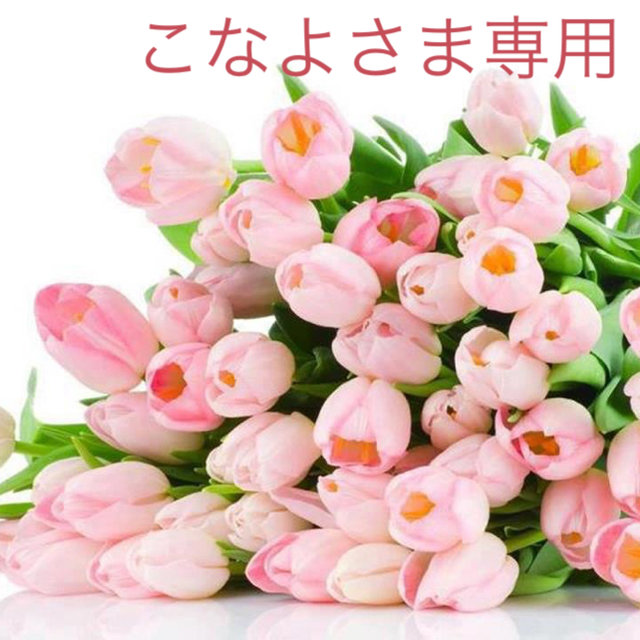 こなよさま専用 | hartwellspremium.com