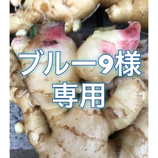 ブルー9様 専用です！(野菜)