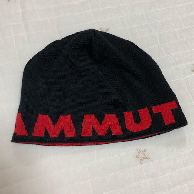 Mammut(マムート)のMAMMUT マムートビーニー ニット帽 スポーツ/アウトドアのアウトドア(登山用品)の商品写真