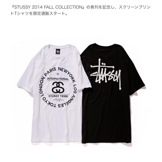 STUSSY - 新品 未使用 タグ付 ステューシー ワールドトライブ 限定