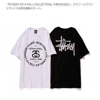 ステューシー(STUSSY)の新品 未使用 タグ付 ステューシー ワールドトライブ 限定ティー 希少Sサイズ(Tシャツ/カットソー(半袖/袖なし))