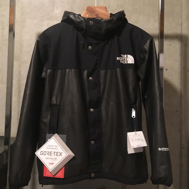 THE NORTH FACE - the north face  gtx pamir jacket パミール