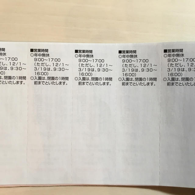 東武ワールドスクウェア  特別ご優待券 5名様分 チケットの施設利用券(遊園地/テーマパーク)の商品写真