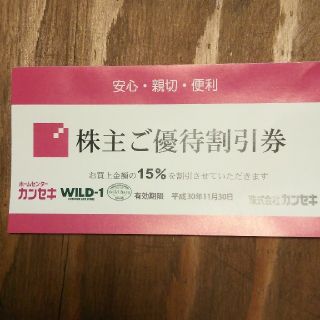 スノーピーク(Snow Peak)のカンセキ株主優待割引券　15%off　Wild-1(ショッピング)