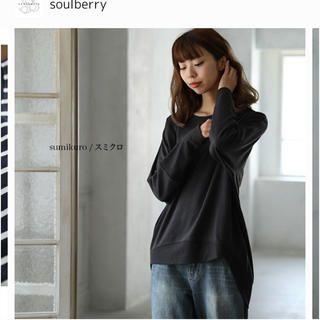 ソルベリー(Solberry)の11月30まで☆soulberryスウェットプルオーバー(トレーナー/スウェット)