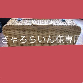 きゃろらいん様専用(バスケット/かご)