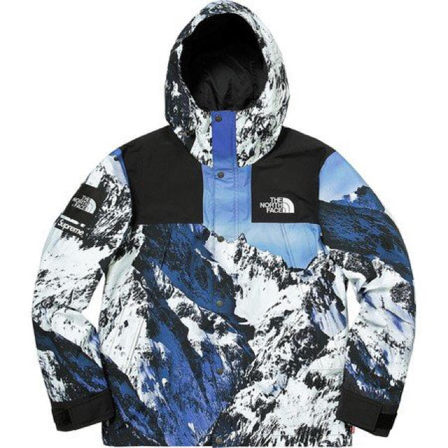 Supreme®/The North Face® Mountain Jacket