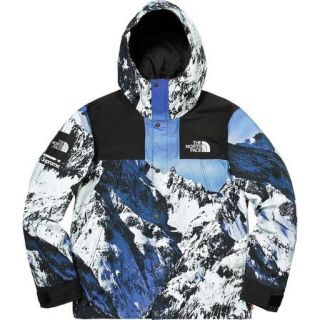 シュプリーム(Supreme)のSupreme north face mountain jacket (マウンテンパーカー)