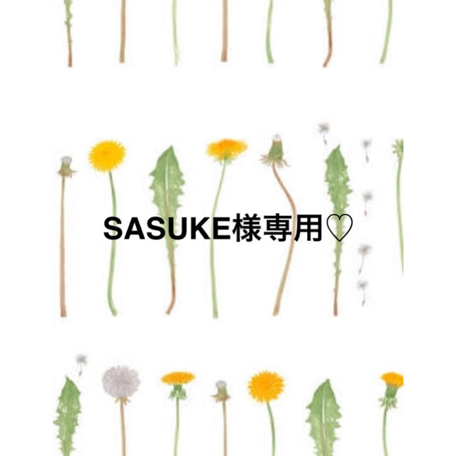 SASUKE様専用♡ 品質満点 8160円 noxcapital.de